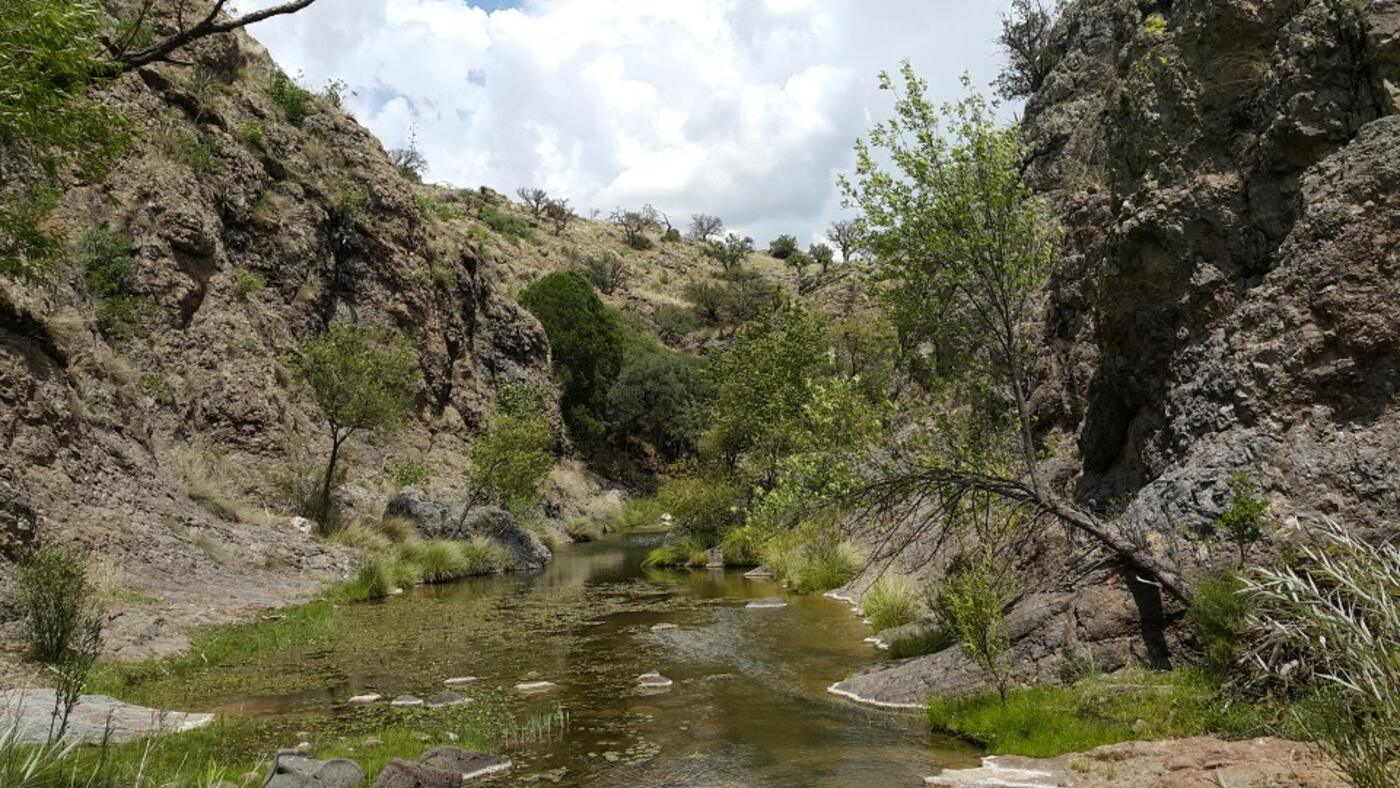 Arroyo perenne que atraviesa el Rancho Babidanchi, con agua corriente entre las rocas